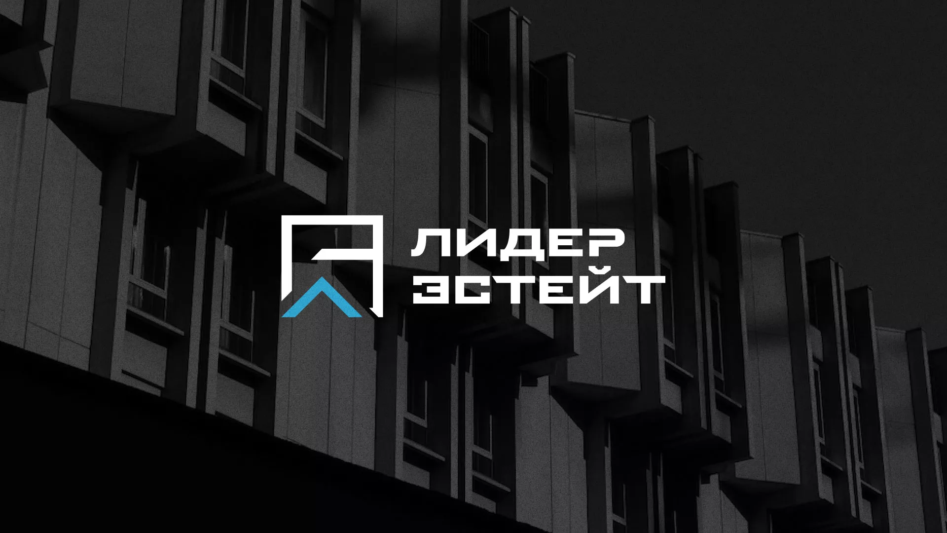 Разработка логотипа агентства недвижимости «Лидер Эстейт» в Алапаевске